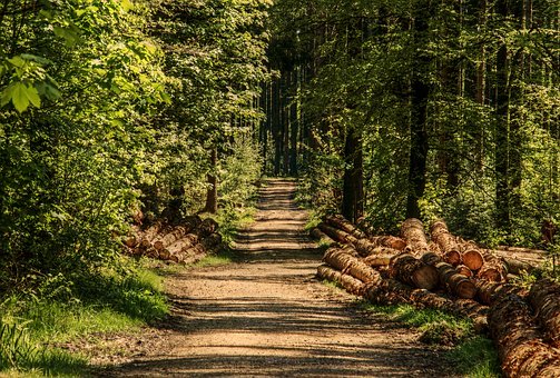 Les meilleurs idées pour créer de l’ombre dans un jardin