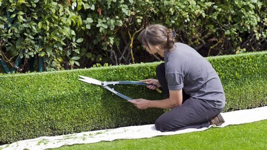 Faire appel à un Jardinier pour entretenir votre jardin.