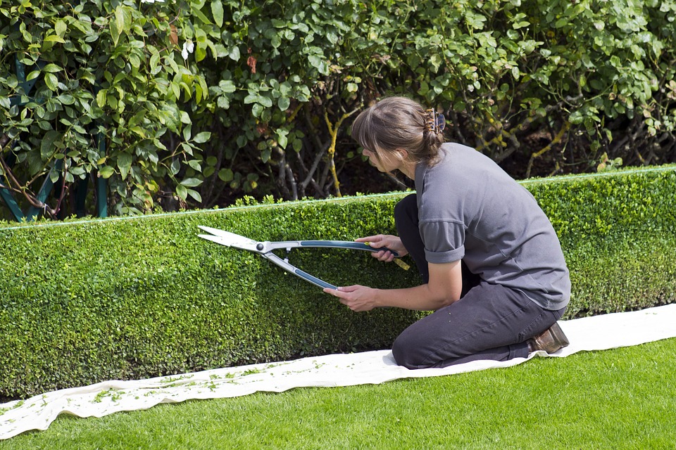 Faire appel à un Jardinier pour entretenir votre jardin.