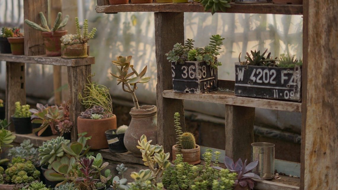 Le jardin de vos rêves n’est pas si difficile à réaliser après tout