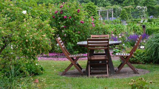 Prendre soin de ses arbres et de ses haies, comment s’en sortir ?