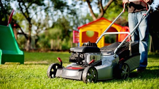 Comment pouvez-vous entretenir votre jardin?