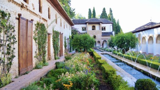 Aménagement de jardin : Les types de jardinières