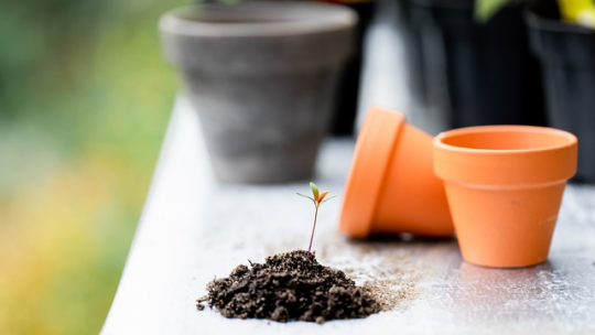 Comment bien proteger ses outils de jardin ?