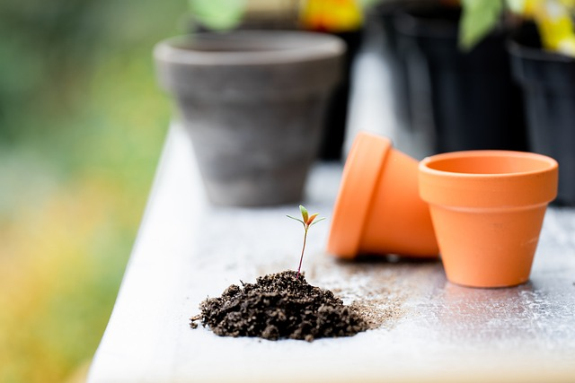 Comment bien proteger ses outils de jardin ?